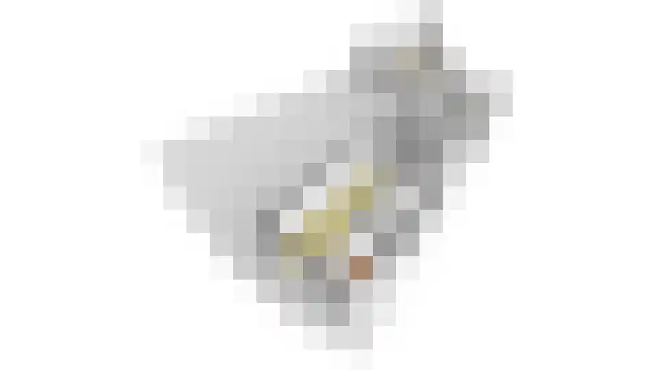 Terrasweg 11 Santpoort-Noord thumbnail 56