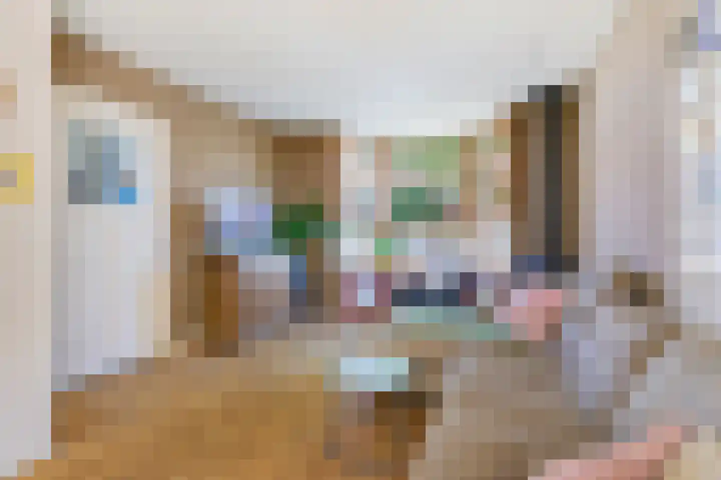 Terrasweg 11 Santpoort-Noord thumbnail 6