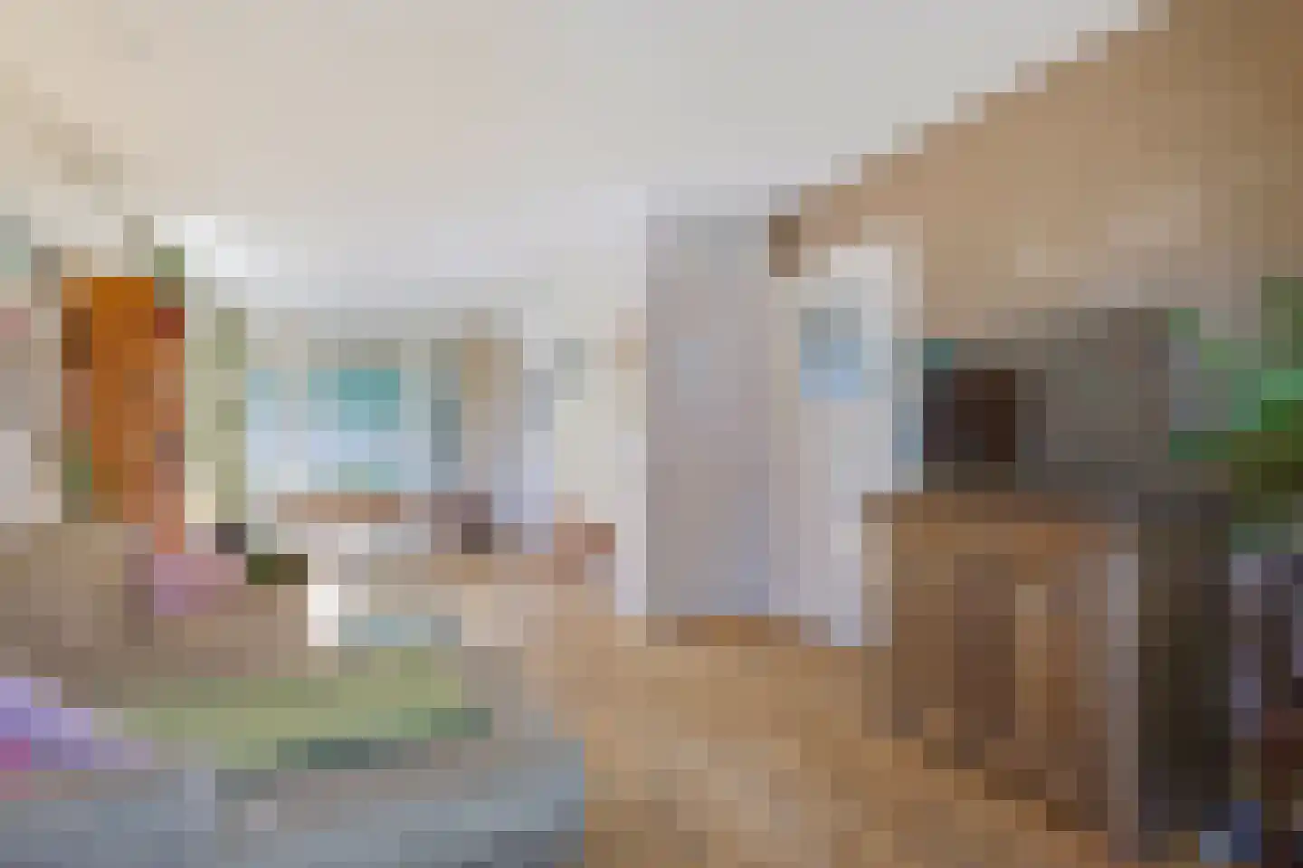 Terrasweg 11 Santpoort-Noord thumbnail 7