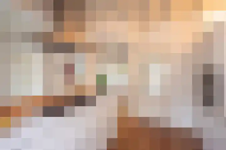 Terrasweg 40 Santpoort-Noord thumbnail 15