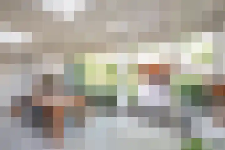 Terrasweg 40 Santpoort-Noord thumbnail 20