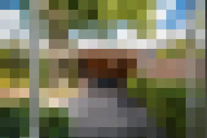 Terrasweg 40 Santpoort-Noord thumbnail 22