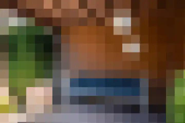 Terrasweg 40 Santpoort-Noord thumbnail 23