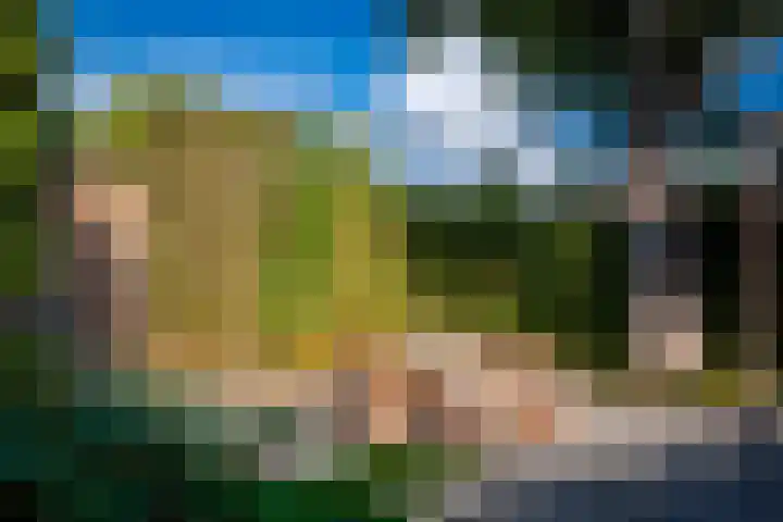Terrasweg 40 Santpoort-Noord thumbnail 24