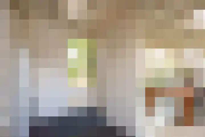 Terrasweg 40 Santpoort-Noord thumbnail 27