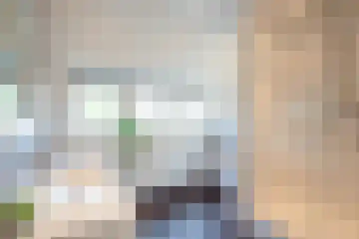 Terrasweg 40 Santpoort-Noord thumbnail 32