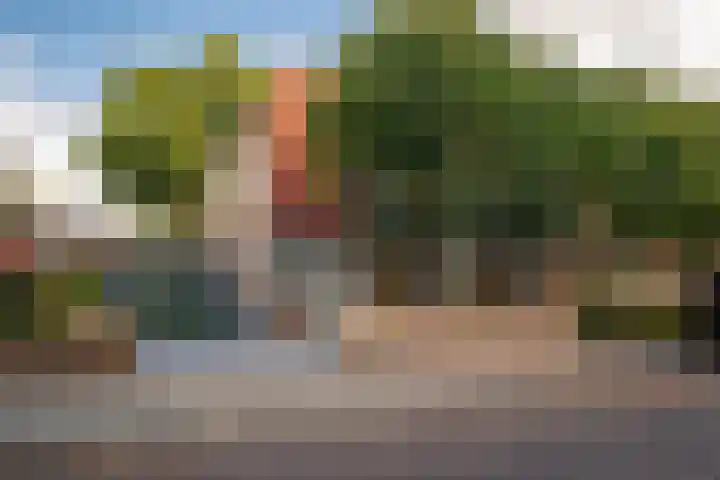 Terrasweg 40 Santpoort-Noord thumbnail 6