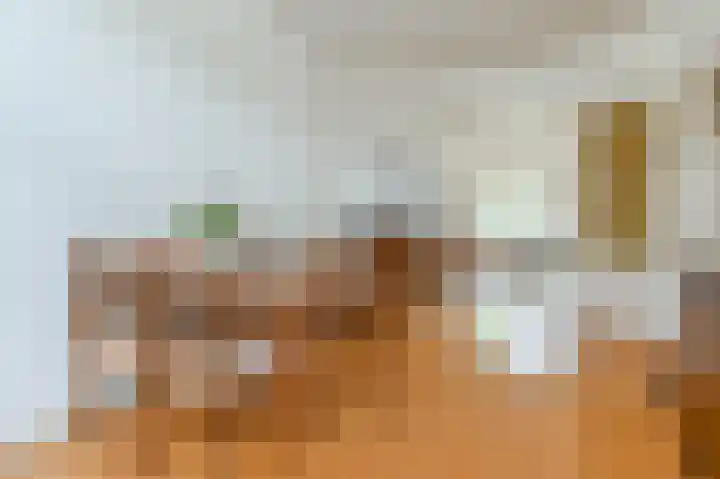 Terrasweg 58 Santpoort-Noord thumbnail 11