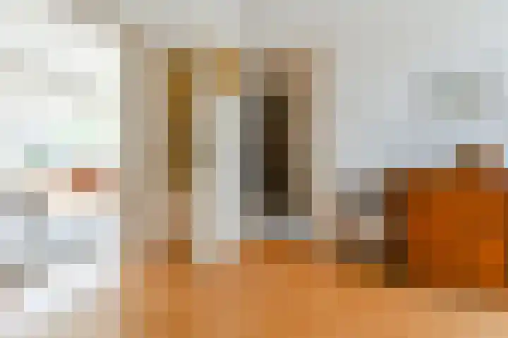 Terrasweg 58 Santpoort-Noord thumbnail 12
