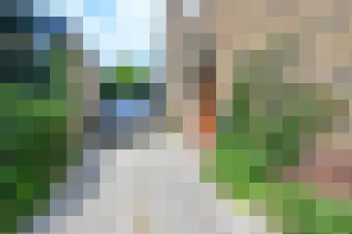 Terrasweg 58 Santpoort-Noord thumbnail 32