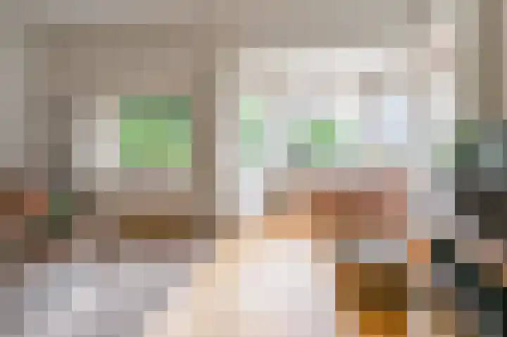 Terrasweg 58 Santpoort-Noord thumbnail 6