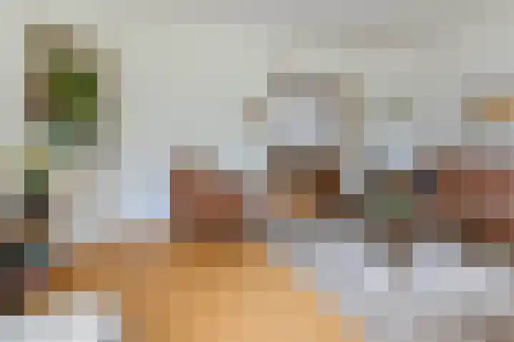 Terrasweg 58 Santpoort-Noord thumbnail 8