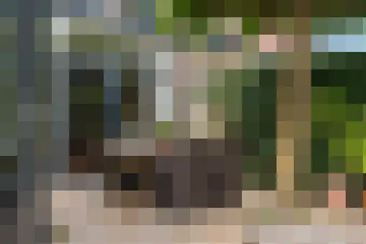 Terrasweg 59 Santpoort-Noord thumbnail 19