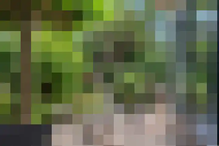 Terrasweg 59 Santpoort-Noord thumbnail 20