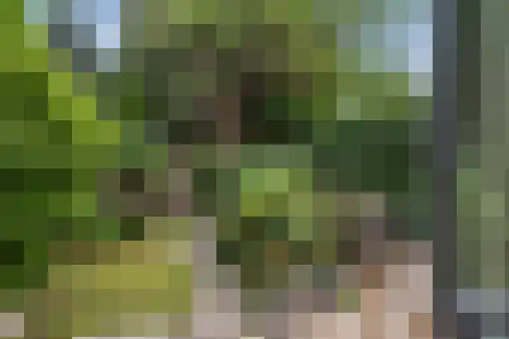 Terrasweg 59 Santpoort-Noord thumbnail 21