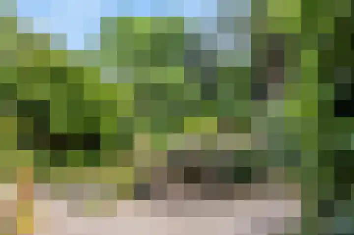 Terrasweg 59 Santpoort-Noord thumbnail 22