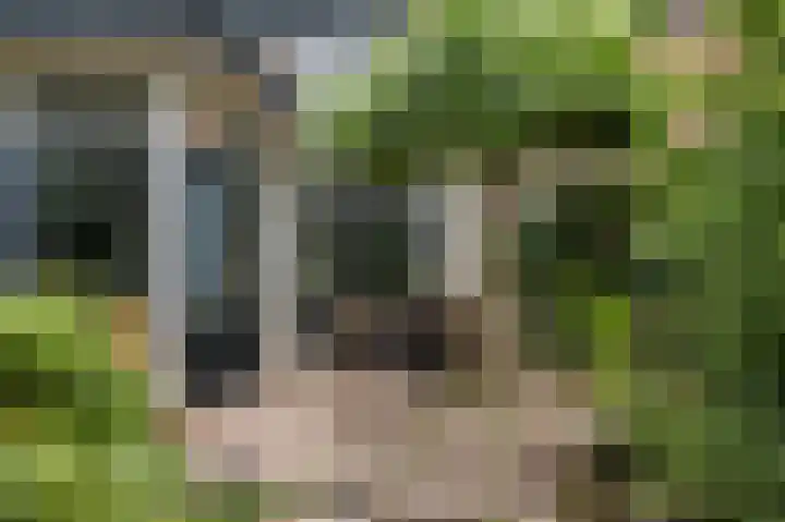 Terrasweg 59 Santpoort-Noord thumbnail 23