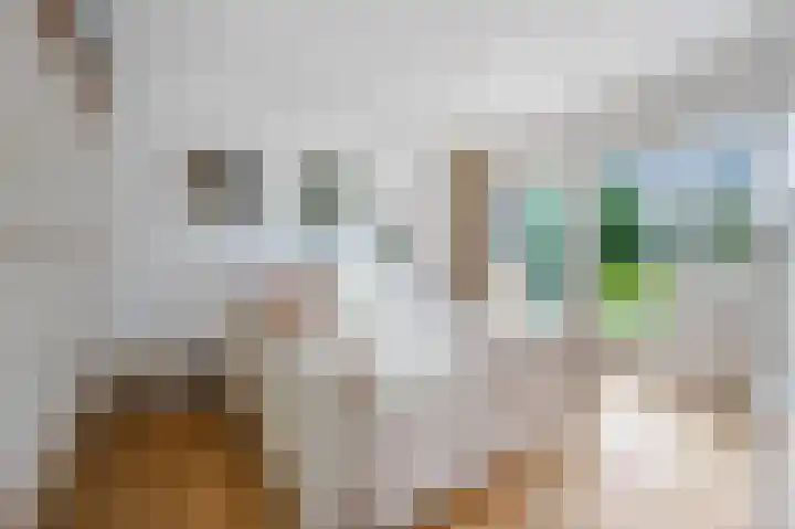 Terrasweg 59 Santpoort-Noord thumbnail 29