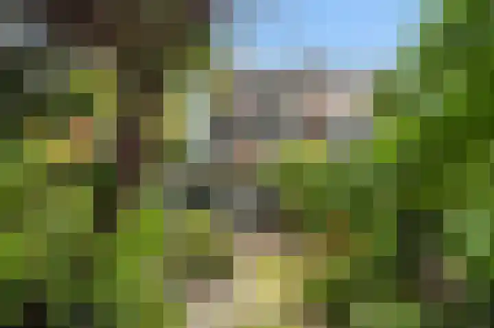 Terrasweg 59 Santpoort-Noord thumbnail 4
