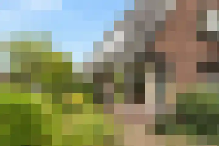 Terrasweg 59 Santpoort-Noord thumbnail 42