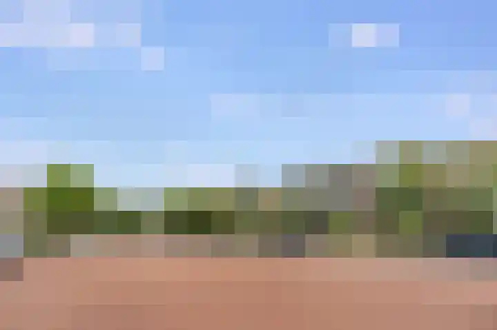 Terrasweg 59 Santpoort-Noord thumbnail 45