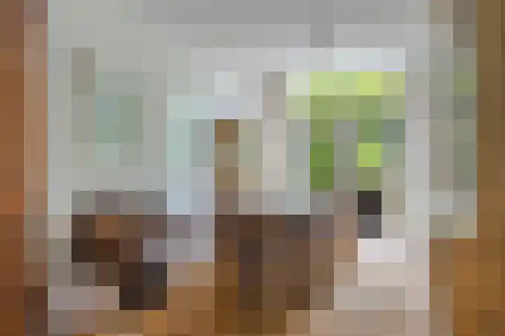 Terrasweg 59 Santpoort-Noord thumbnail 6