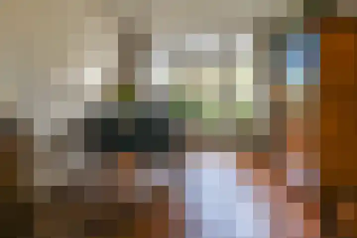 Terrasweg 76 Santpoort-Noord thumbnail 12