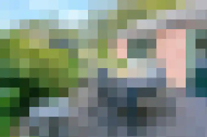 Terrasweg 76 Santpoort-Noord thumbnail 15