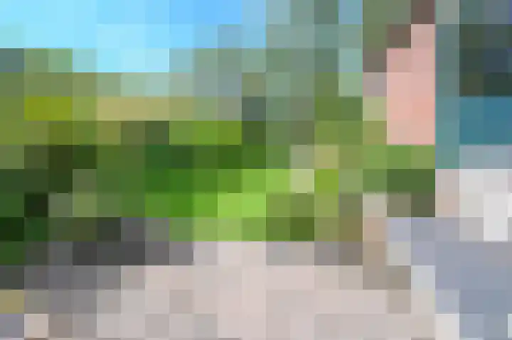 Terrasweg 76 Santpoort-Noord thumbnail 16