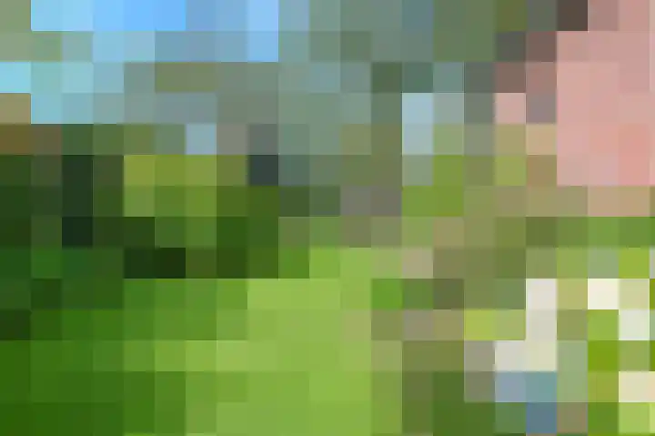 Terrasweg 76 Santpoort-Noord thumbnail 17