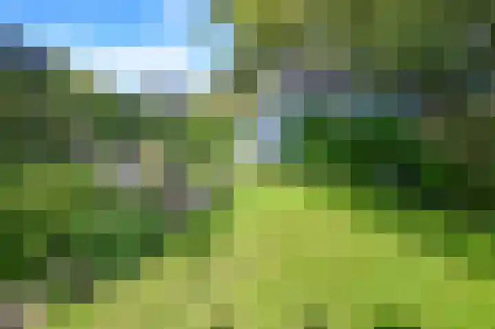 Terrasweg 76 Santpoort-Noord thumbnail 19