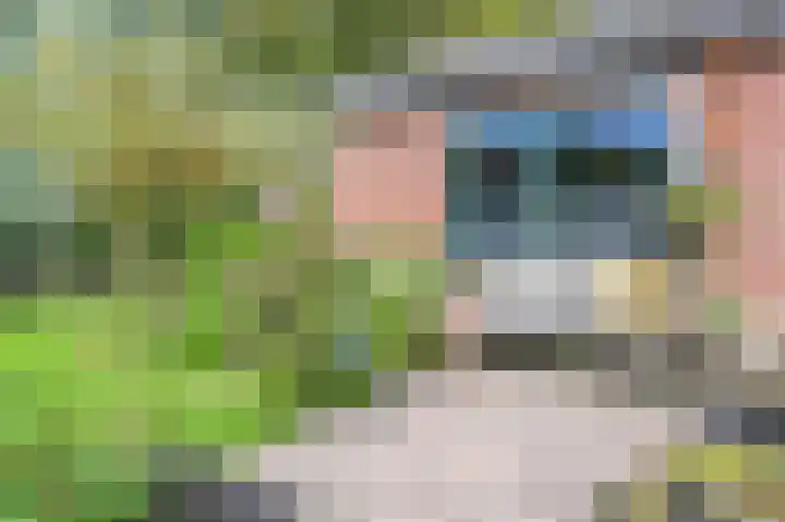 Terrasweg 76 Santpoort-Noord thumbnail 22