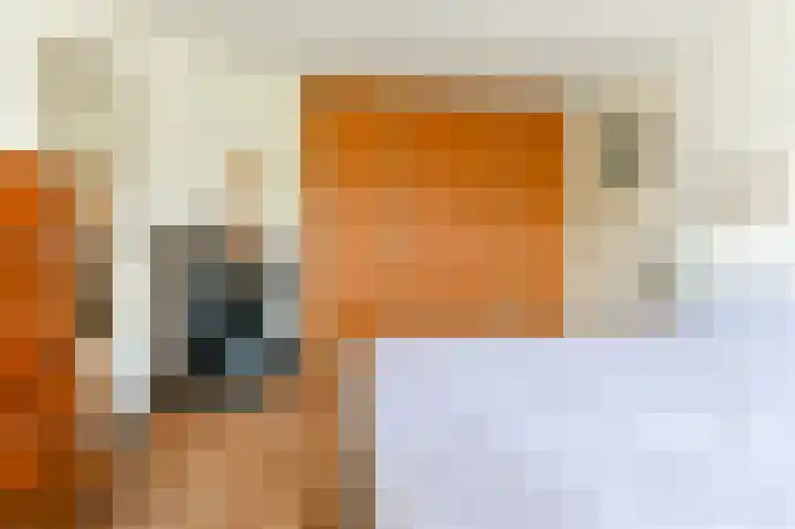 Terrasweg 76 Santpoort-Noord thumbnail 29