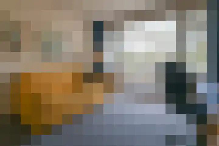 Terrasweg 76 Santpoort-Noord thumbnail 31