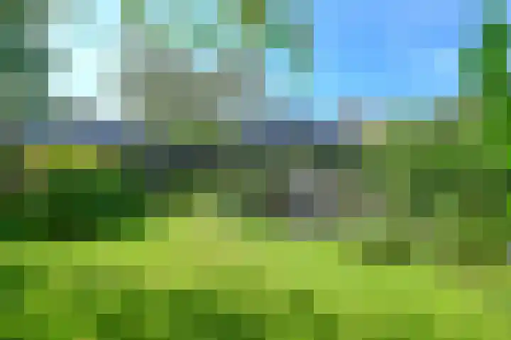 Terrasweg 76 Santpoort-Noord thumbnail 4