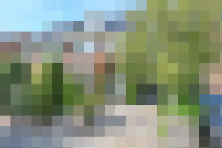 Terrasweg 76 Santpoort-Noord thumbnail 48