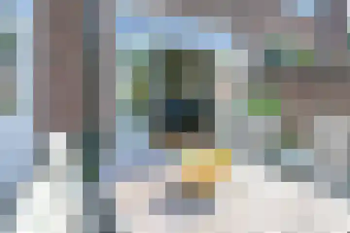 Terrasweg 76 Santpoort-Noord thumbnail 5