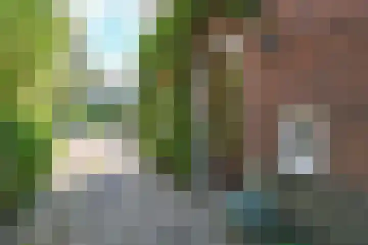 Terrasweg 76 Santpoort-Noord thumbnail 6