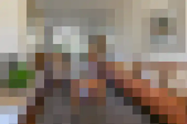 Terrasweg 76 Santpoort-Noord thumbnail 9