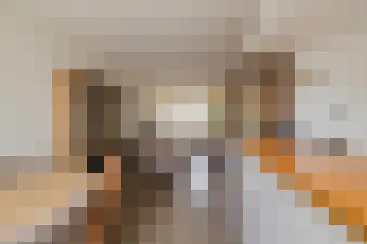 Terrasweg 9 Santpoort-Noord thumbnail 13