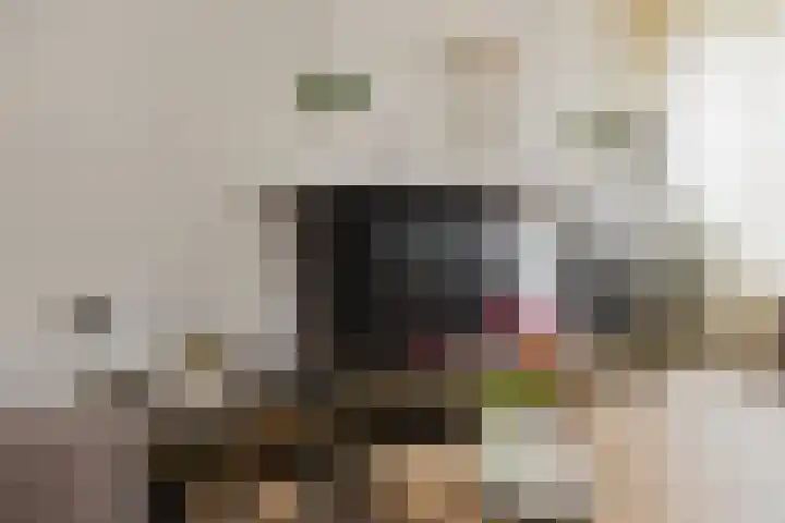 Terrasweg 9 Santpoort-Noord thumbnail 15