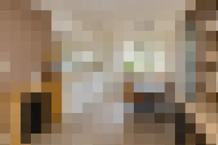 Terrasweg 9 Santpoort-Noord thumbnail 17