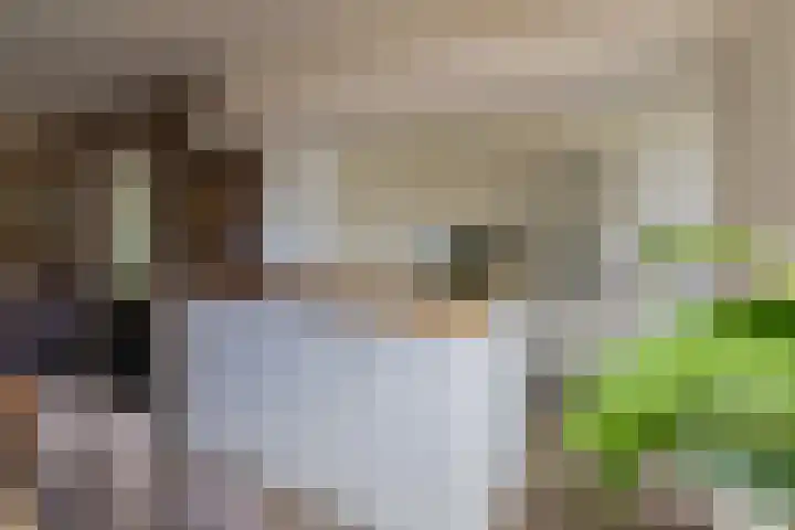 Terrasweg 9 Santpoort-Noord thumbnail 18