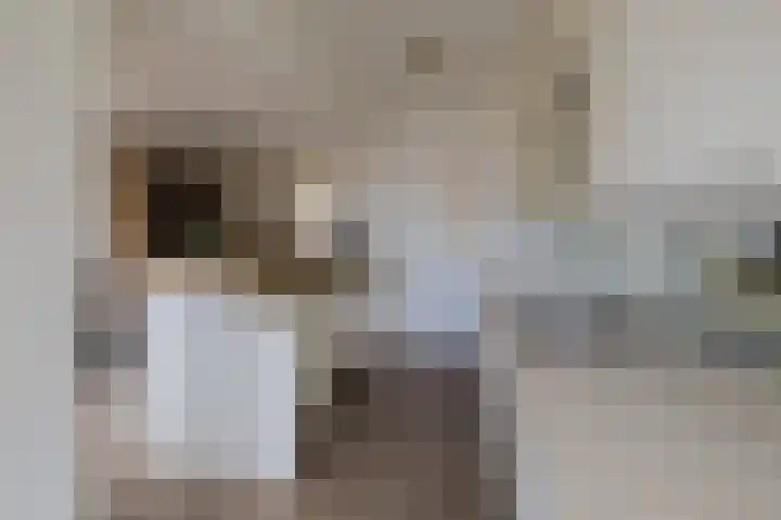 Terrasweg 9 Santpoort-Noord thumbnail 19