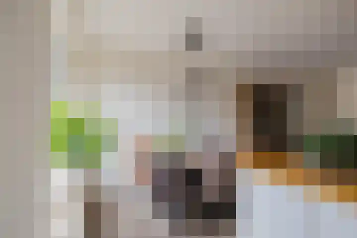 Terrasweg 9 Santpoort-Noord thumbnail 21