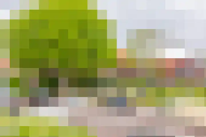 Terrasweg 9 Santpoort-Noord thumbnail 33