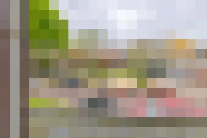 Terrasweg 9 Santpoort-Noord thumbnail 34