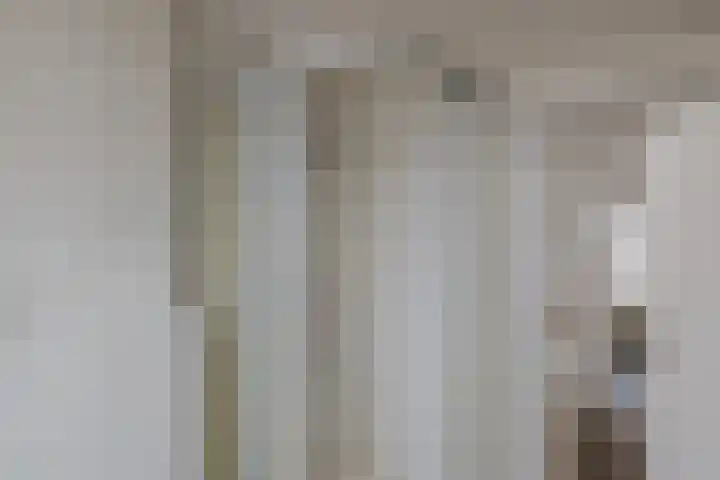 Terrasweg 9 Santpoort-Noord thumbnail 37