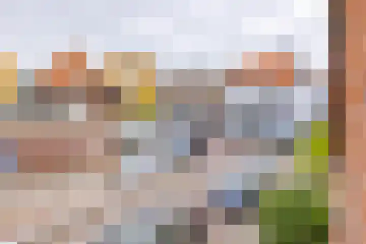 Terrasweg 9 Santpoort-Noord thumbnail 4