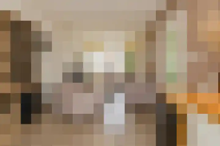 Terrasweg 9 Santpoort-Noord thumbnail 5